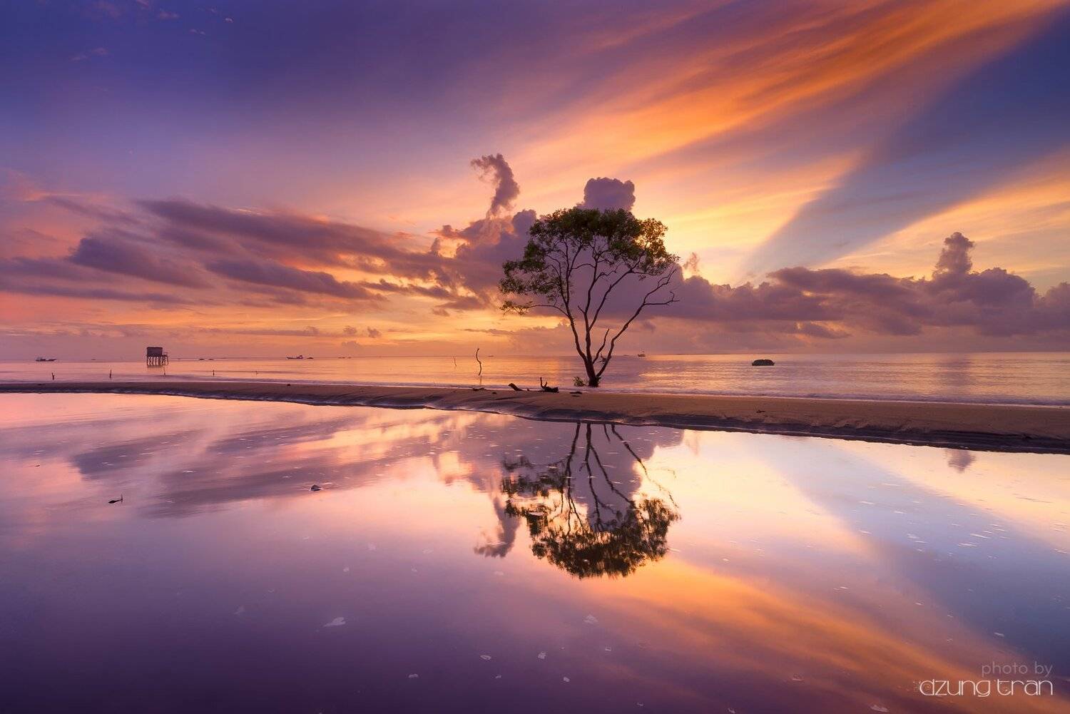 #tree, #lonely, #butterfly, #sunrise, Dzung Tran