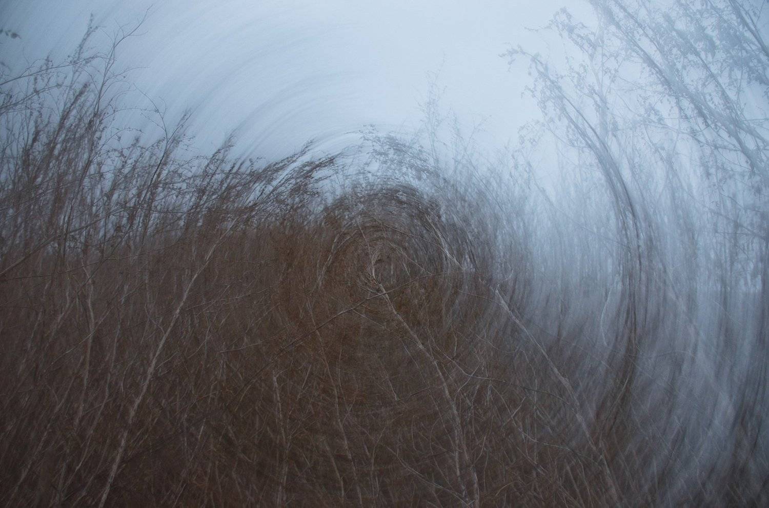 марь, сумерки, круг, заросли, осень, Ксения Соварцева