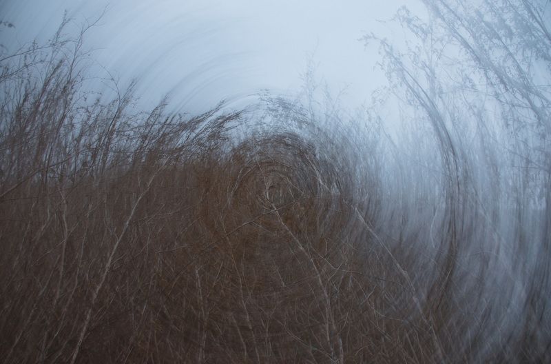 марь, сумерки, круг, заросли, осень Природный гипноз фото превью