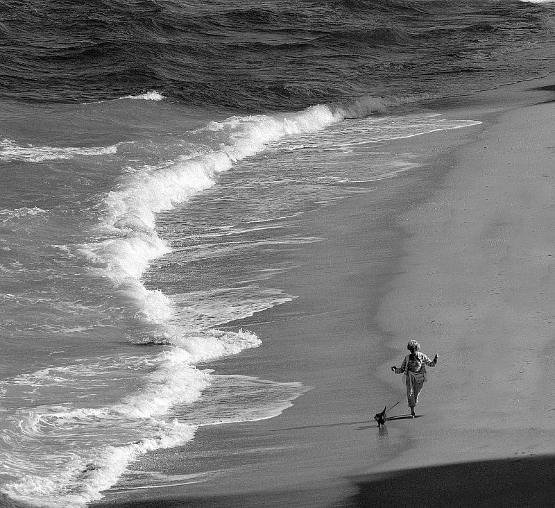 По дороге в тишину (серия) фото превью