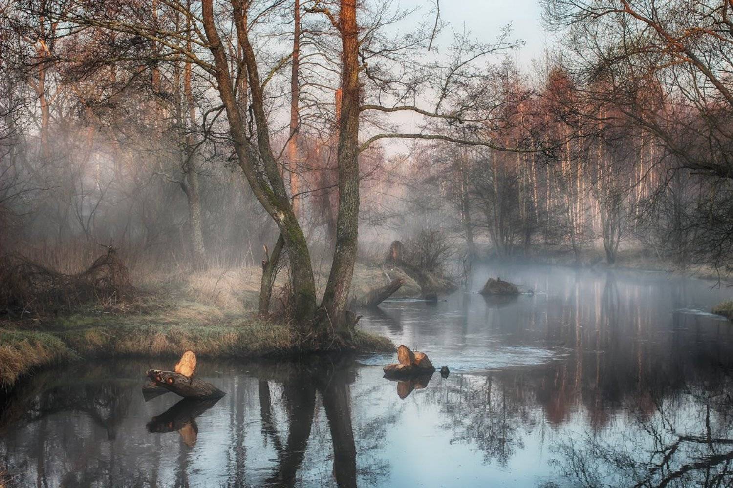 , Игорь Денисов