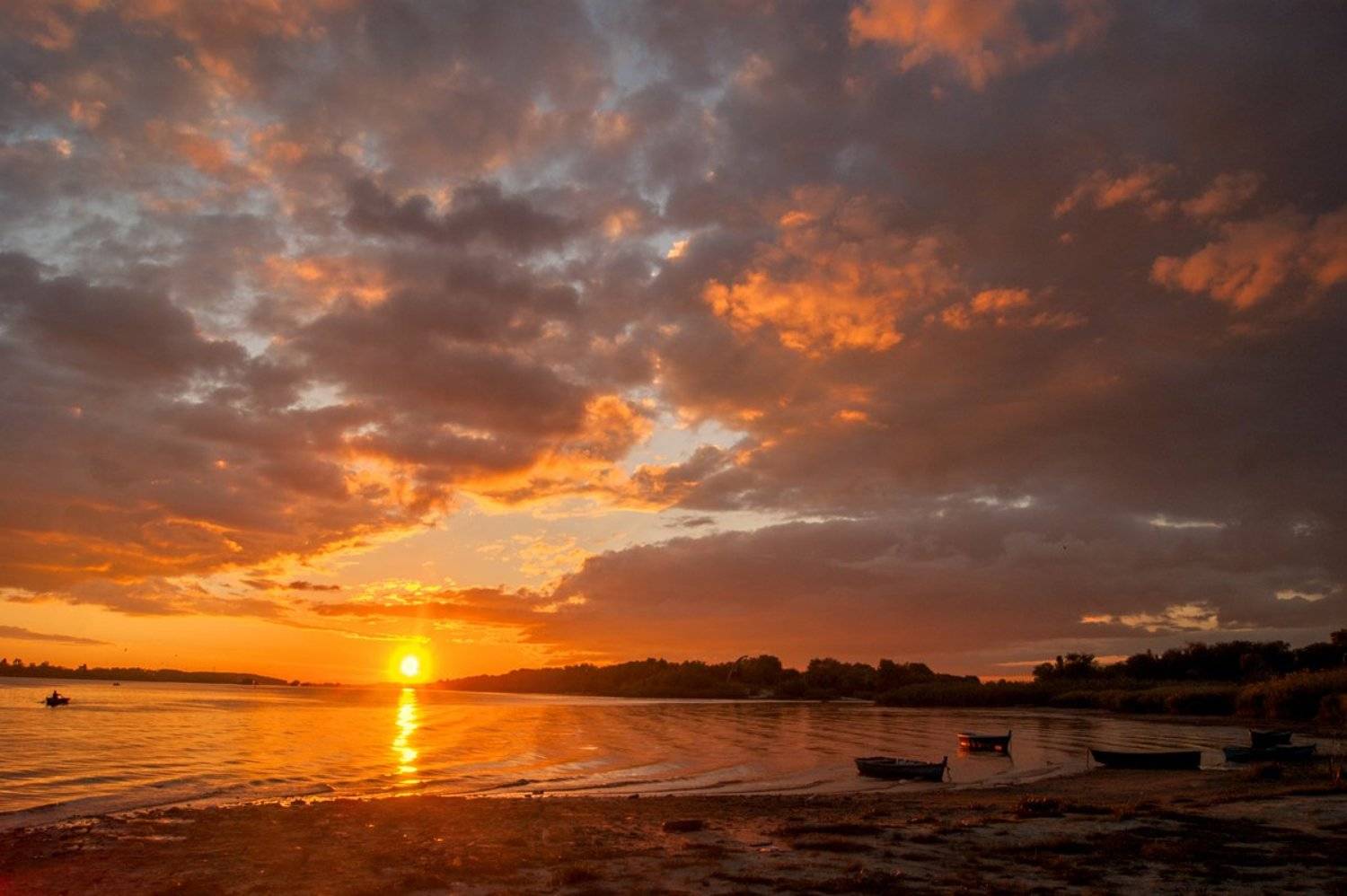 , Марина Соколова