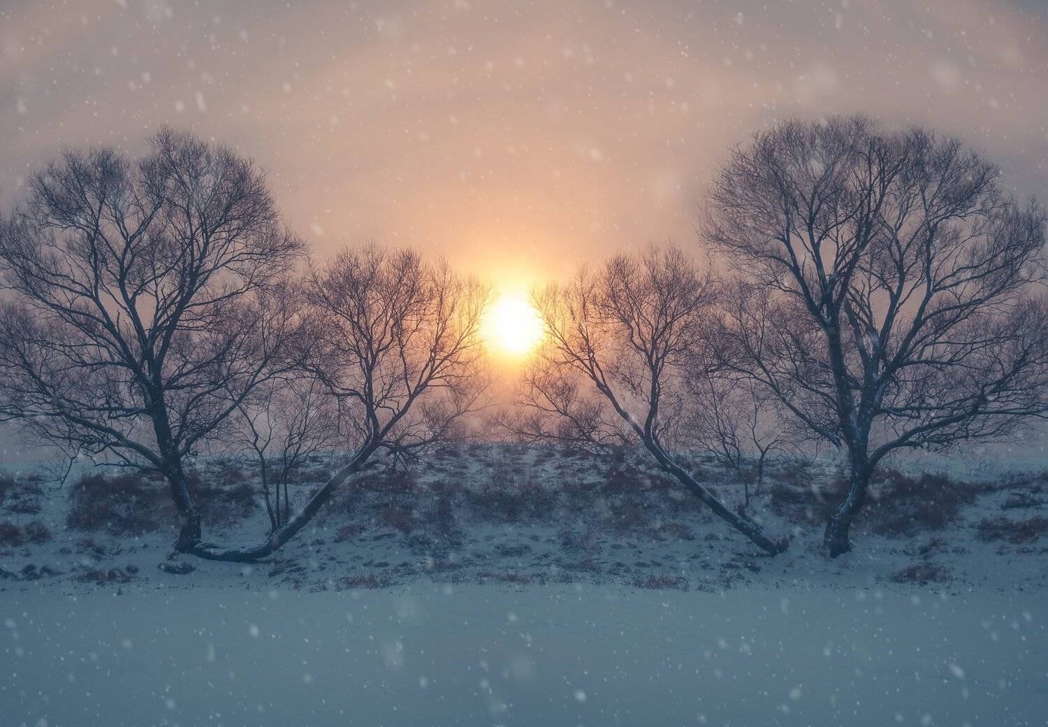 фото, природа, зима, лес, закат, снег, Екатерина