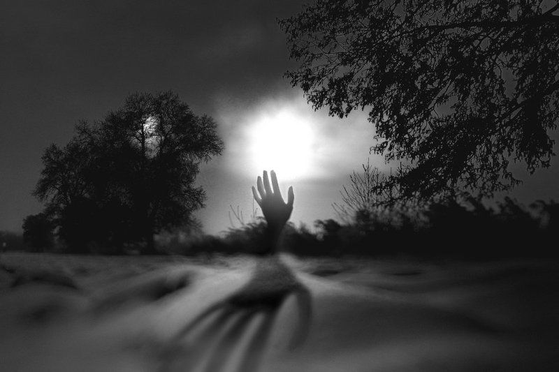 wake,ghost,field,poland,mood,art,eleven,time, The Last Call © фото превью