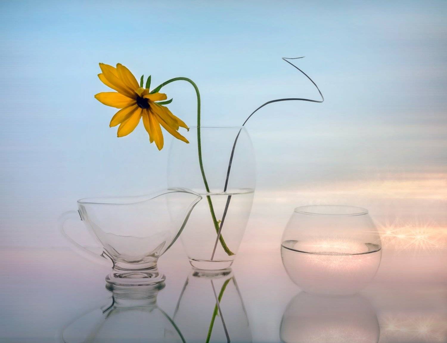 , Людмила Прокофьева