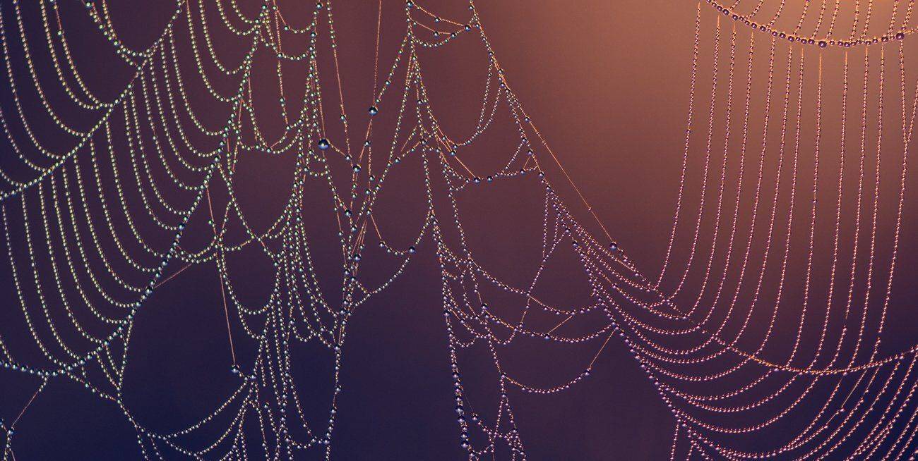 , Галанзовская Оксана