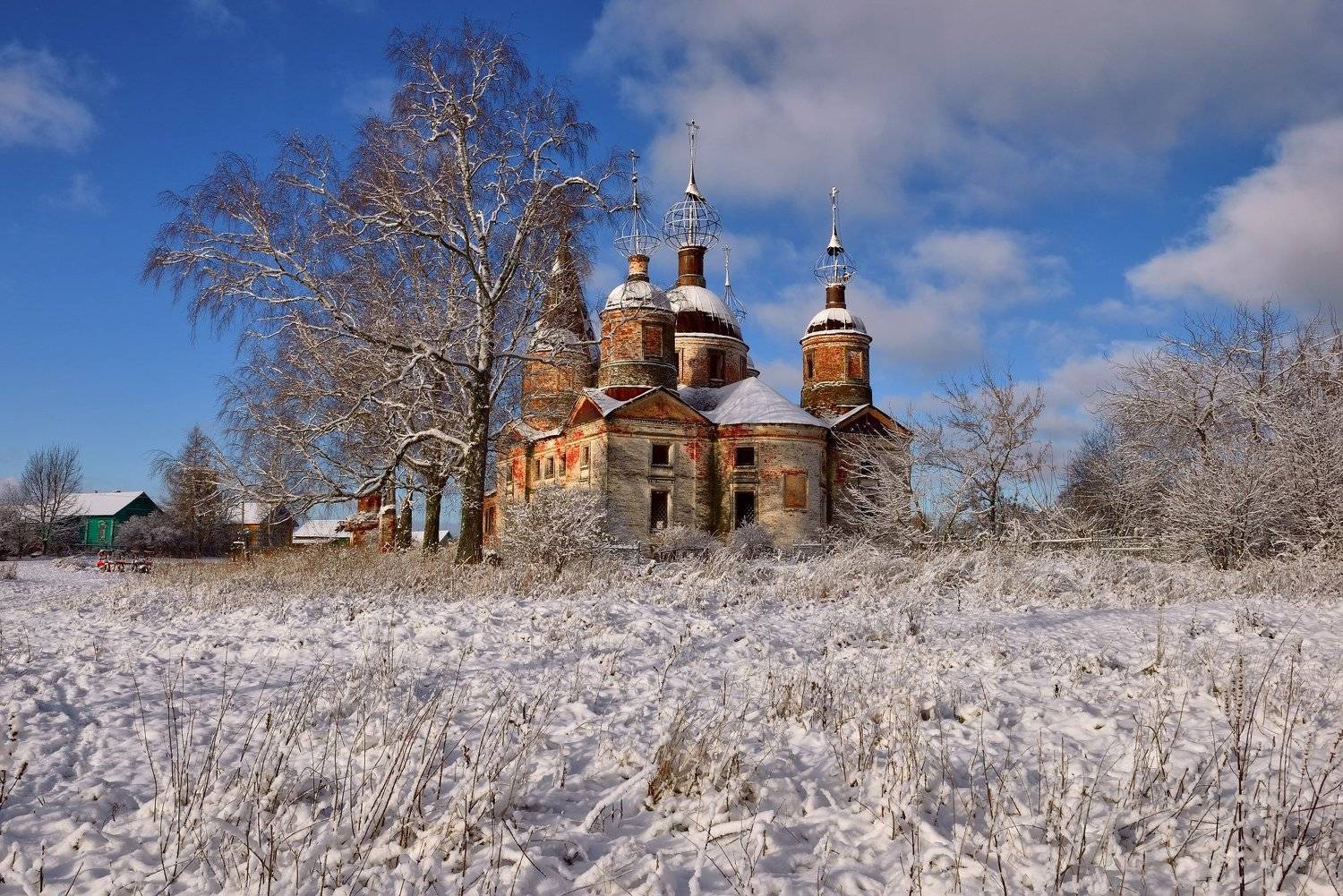 , Максим Евдокимов ( www.wildphotorus.ru )