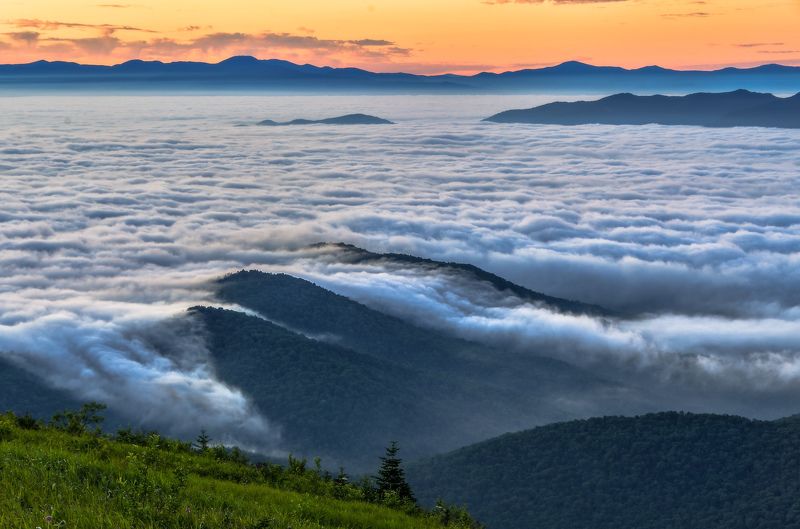 Приморье, Приморский край, Облака, рассвет, туман Море облаков фото превью