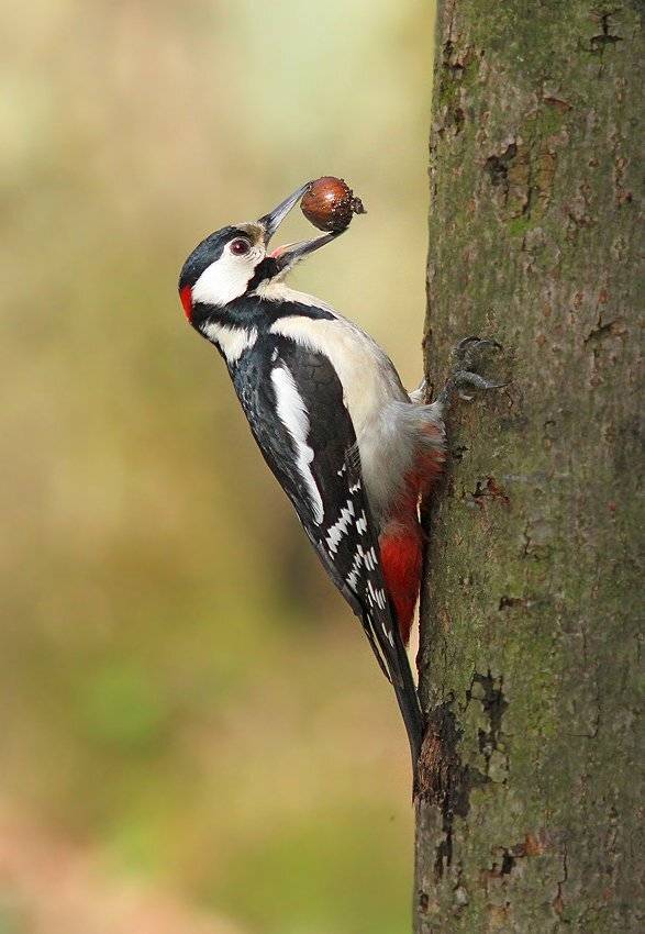 , Михаил Крюков