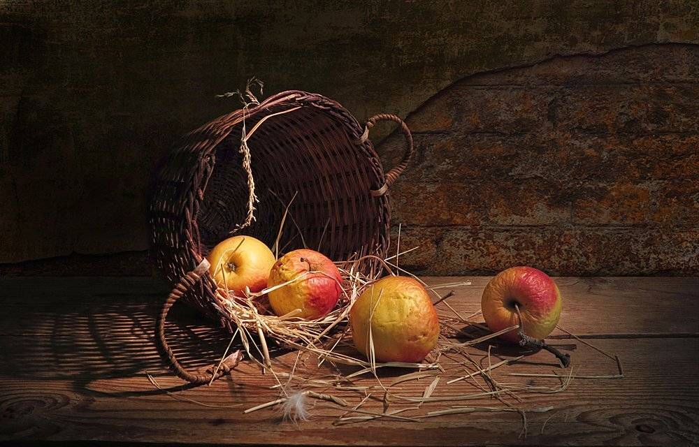 , Алла Шевченко