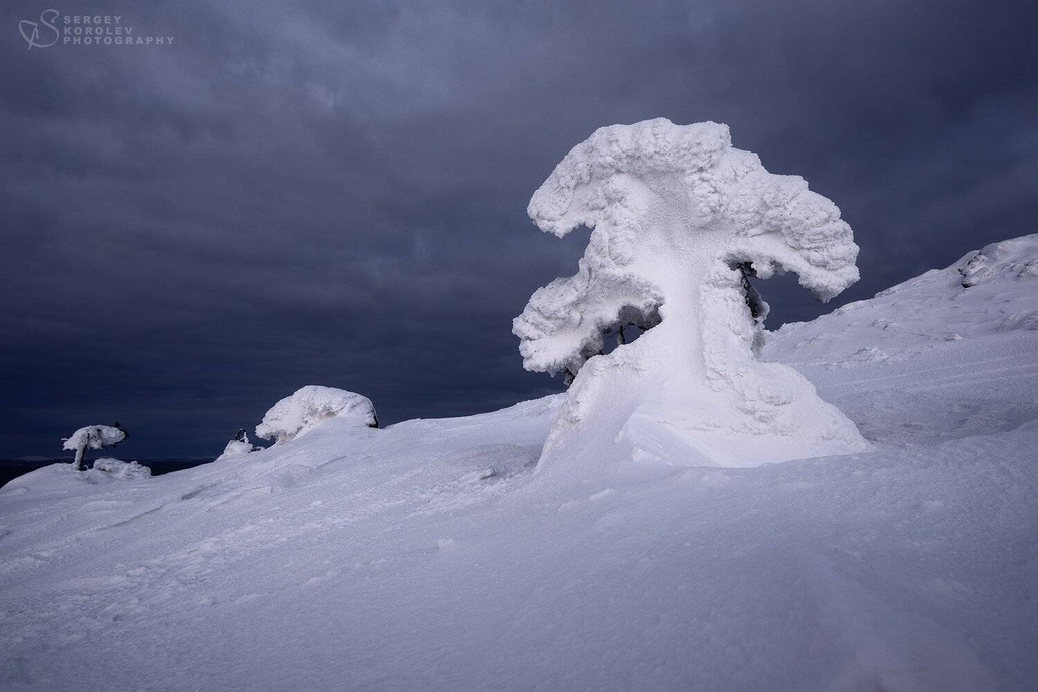 , Сергей Королев