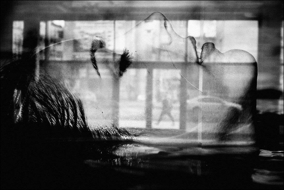 , Krzysztof Trojanowski