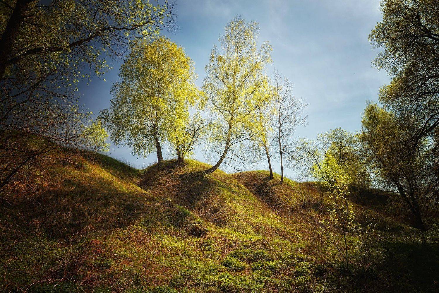 , Алексей Никонов