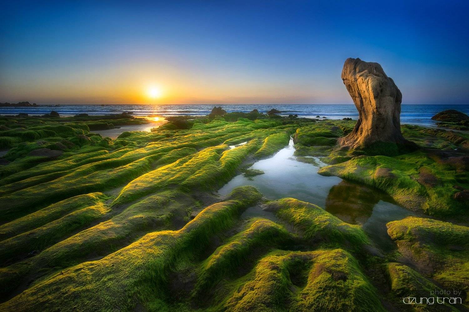 #sun, #rock, #stone, #turtle, #moss, #sunrise, #cothach, Dzung Tran