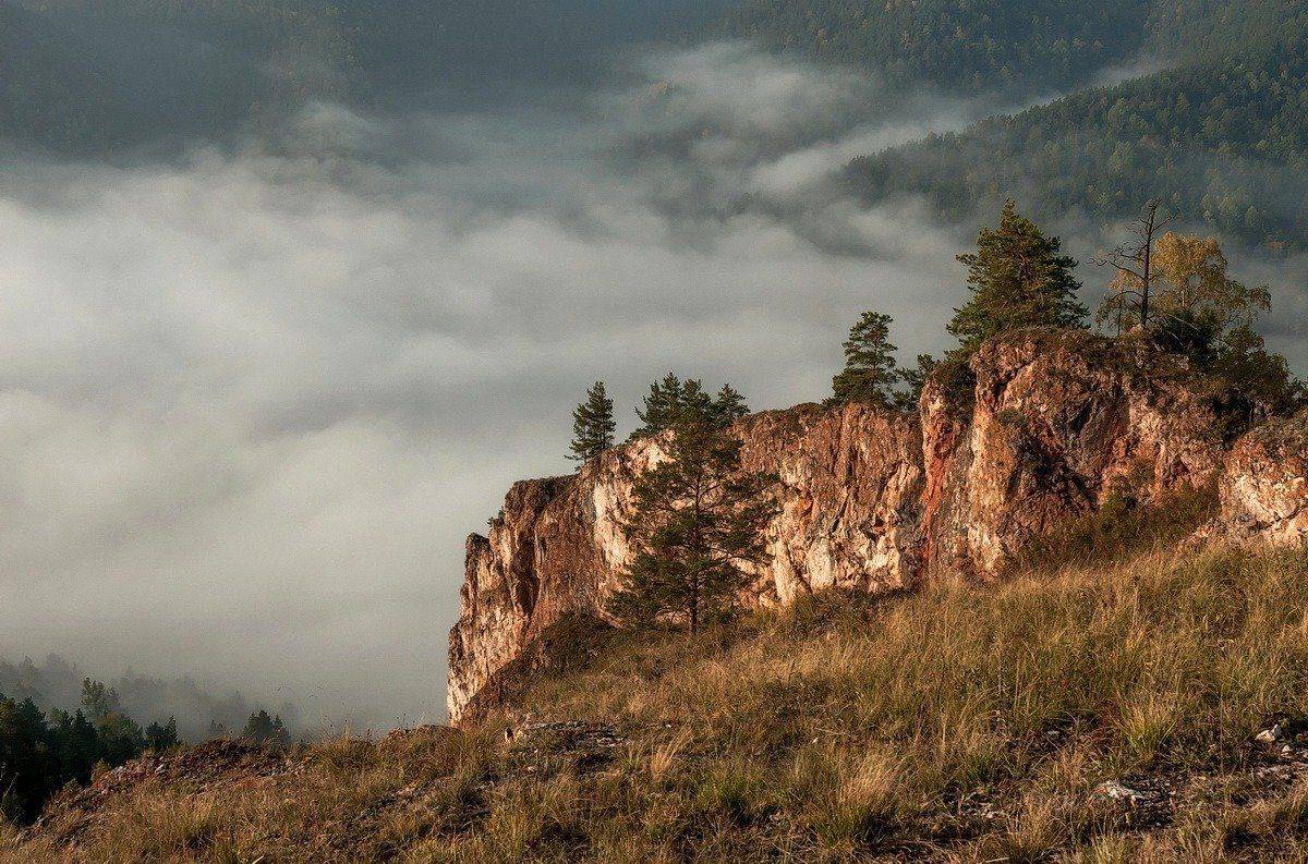 , Марина Фомина