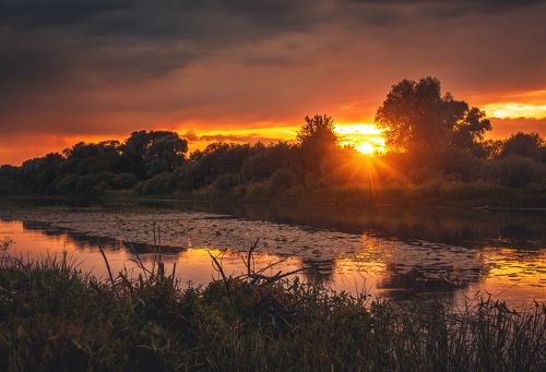 Перед грозой