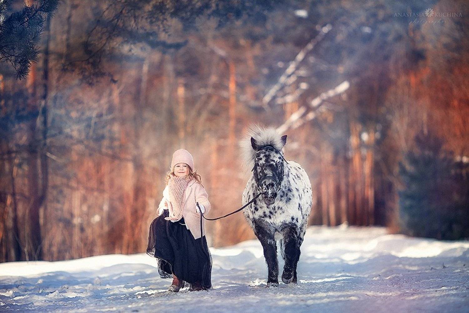 девочка, зима, пони, аппалуза, Анастасия Кучина