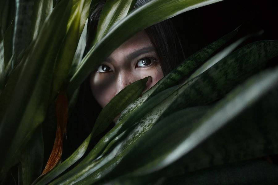 art, Сакрюкин Кирилл