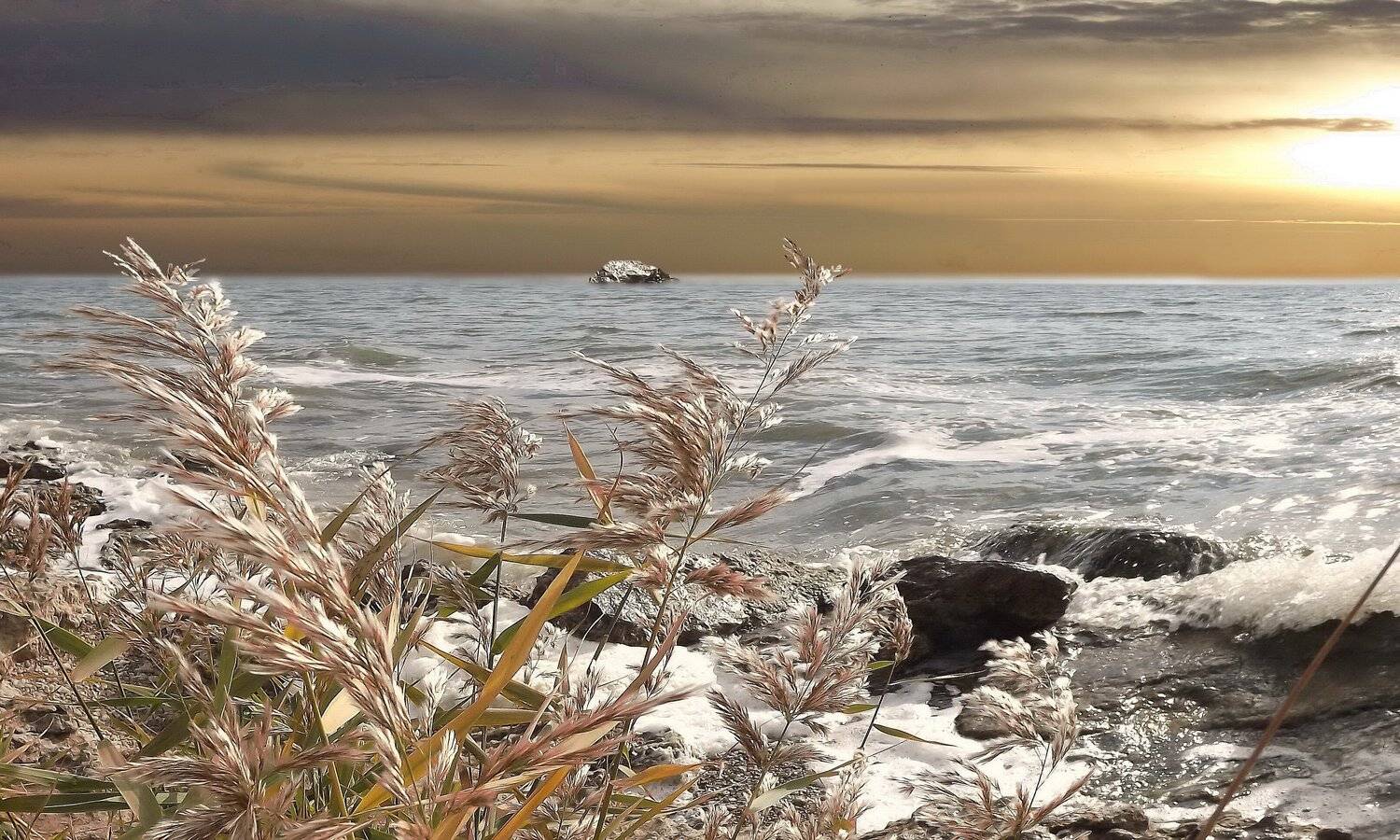 одесса, Сергей Кошелев