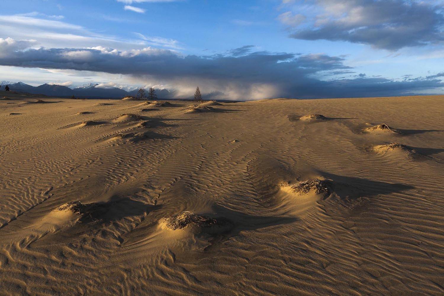 , Сергей Козлов