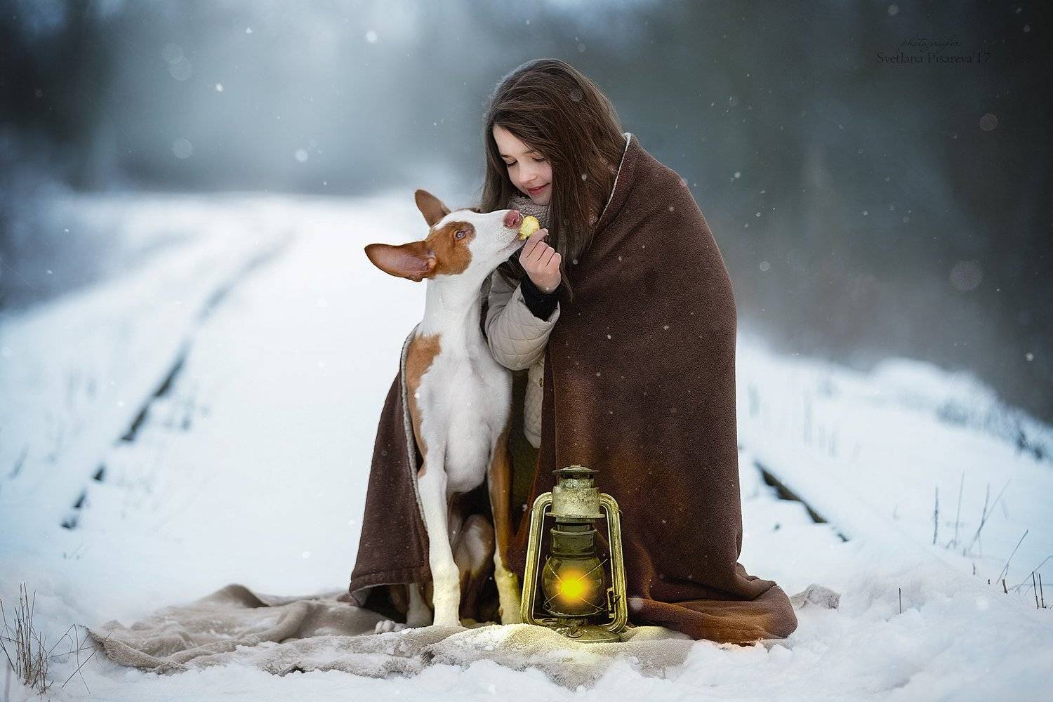 ребенок, девочка, собака, фонарь, дорога, зима., Светлана Писарева