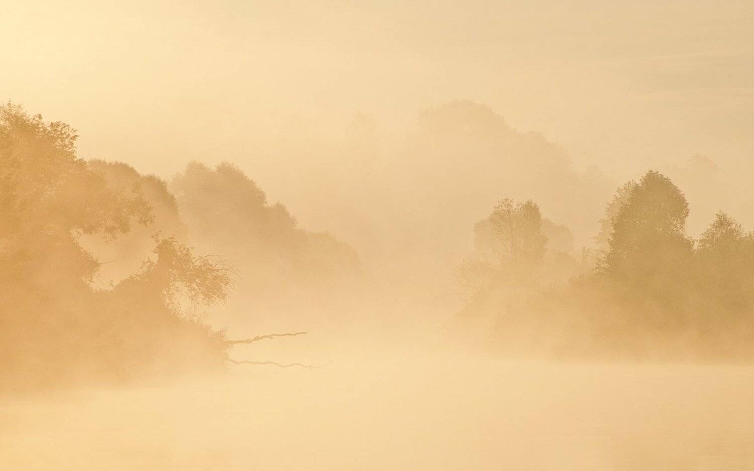 утро рассвет река упа якшино туман пейзаж природа, Михаил Агеев