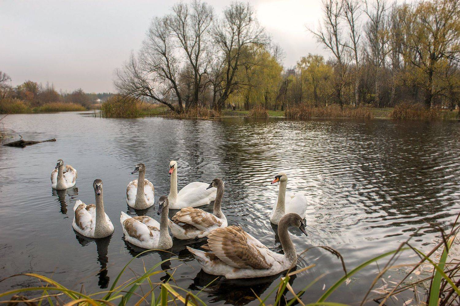 , Валерий Смирнов