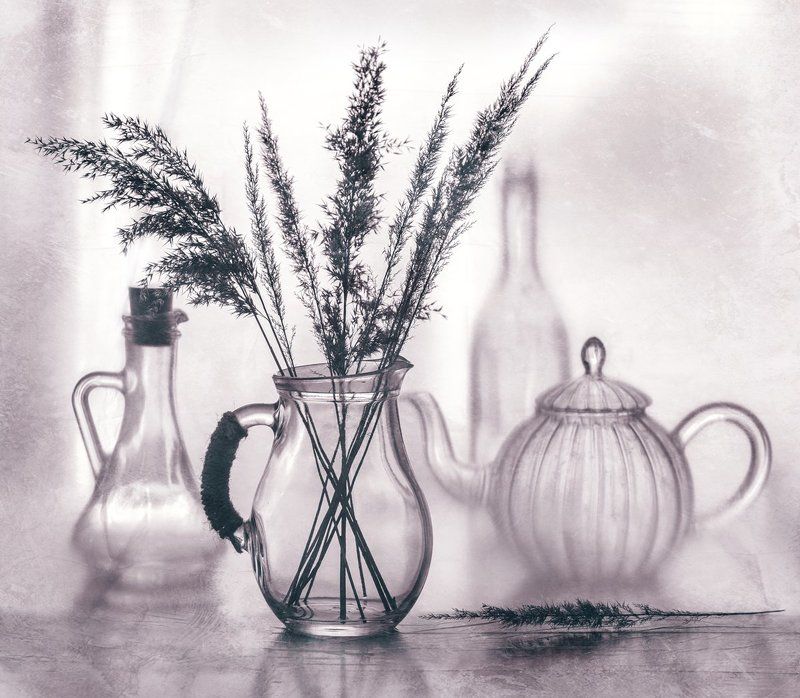 про зимние травы фото превью