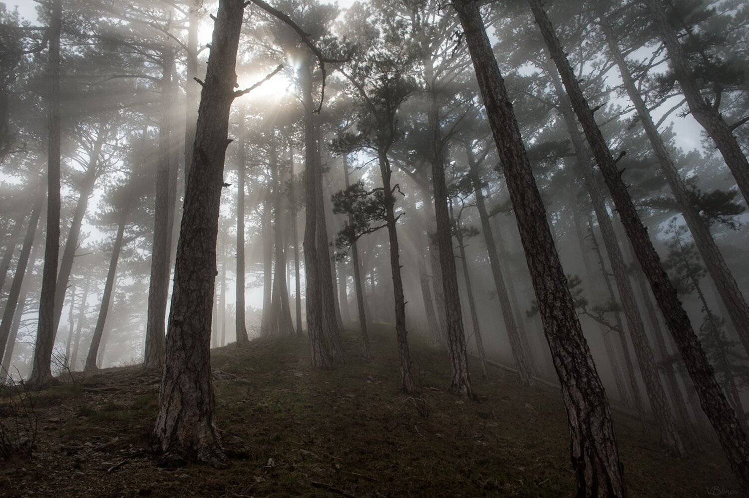 , Блинов Василий