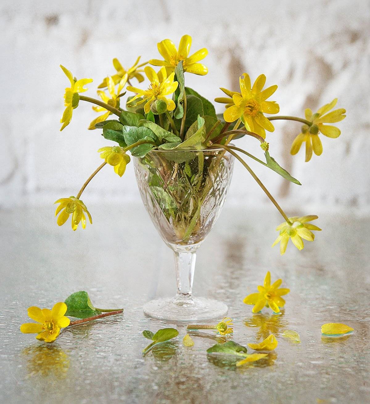 , Инна Сухова