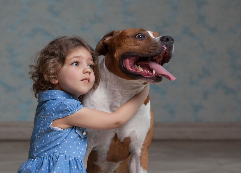 Маша и Бонифаций фото превью