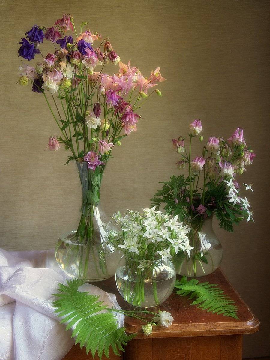 сергей алексеев, натюрморт, Сергей Алексеев