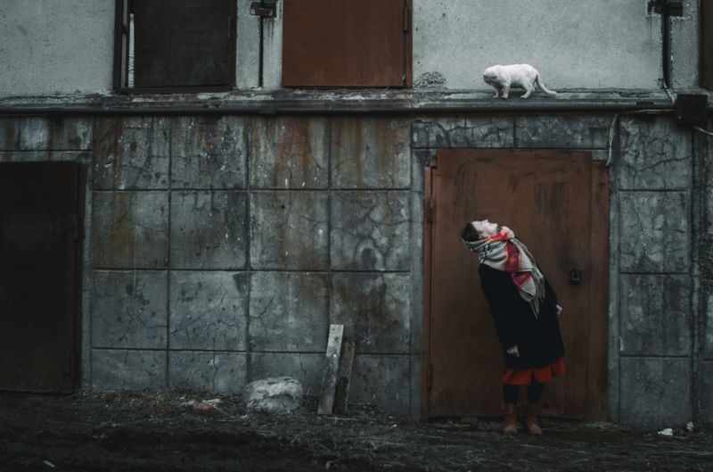 девушка, кот, улица Девушка и кот фото превью