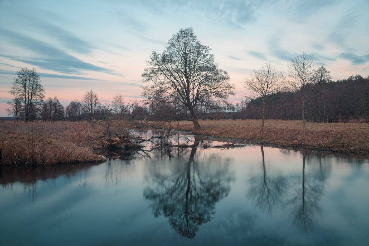 , Михаил Кушнер