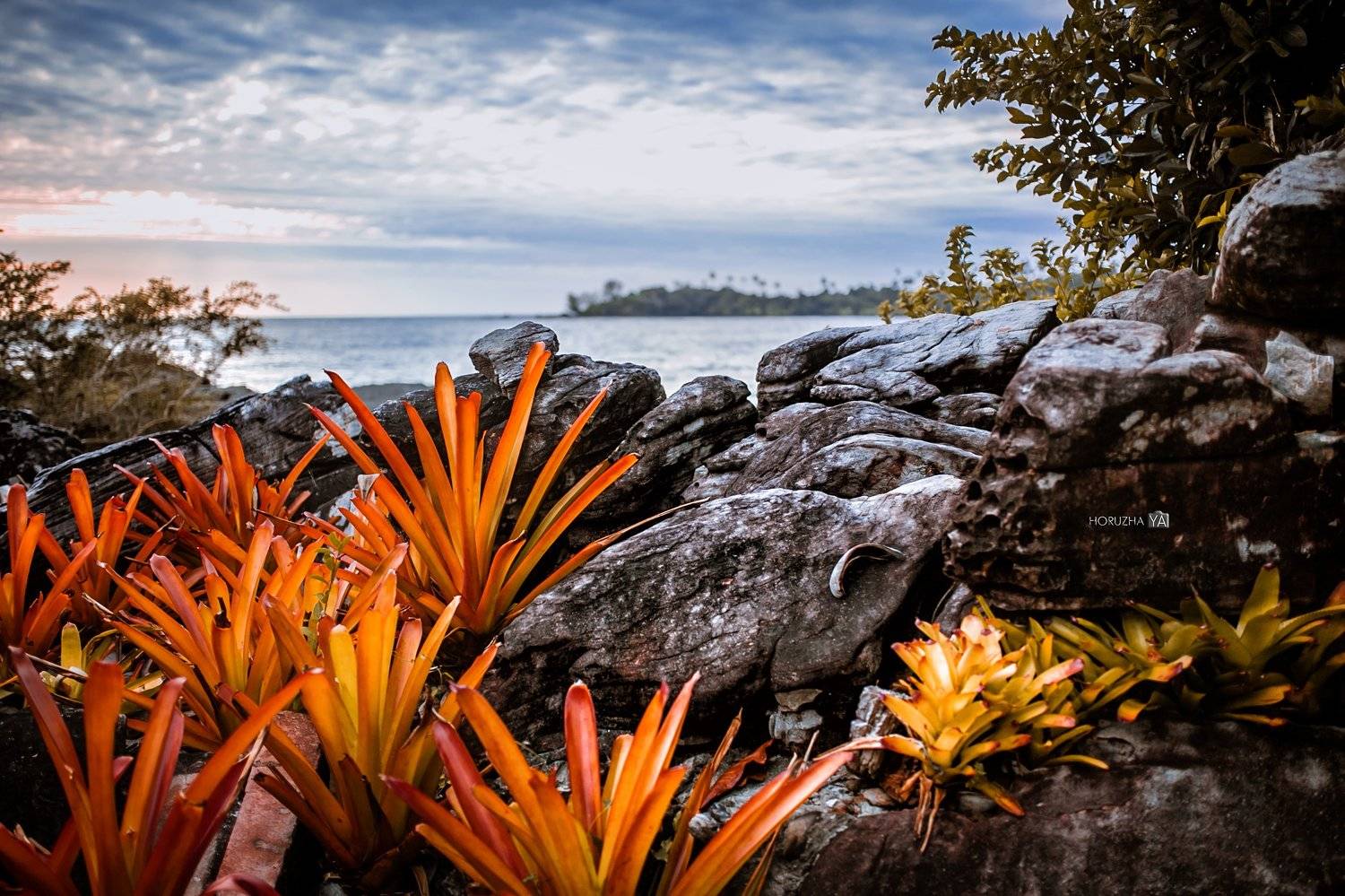 , Евгения Хоружая