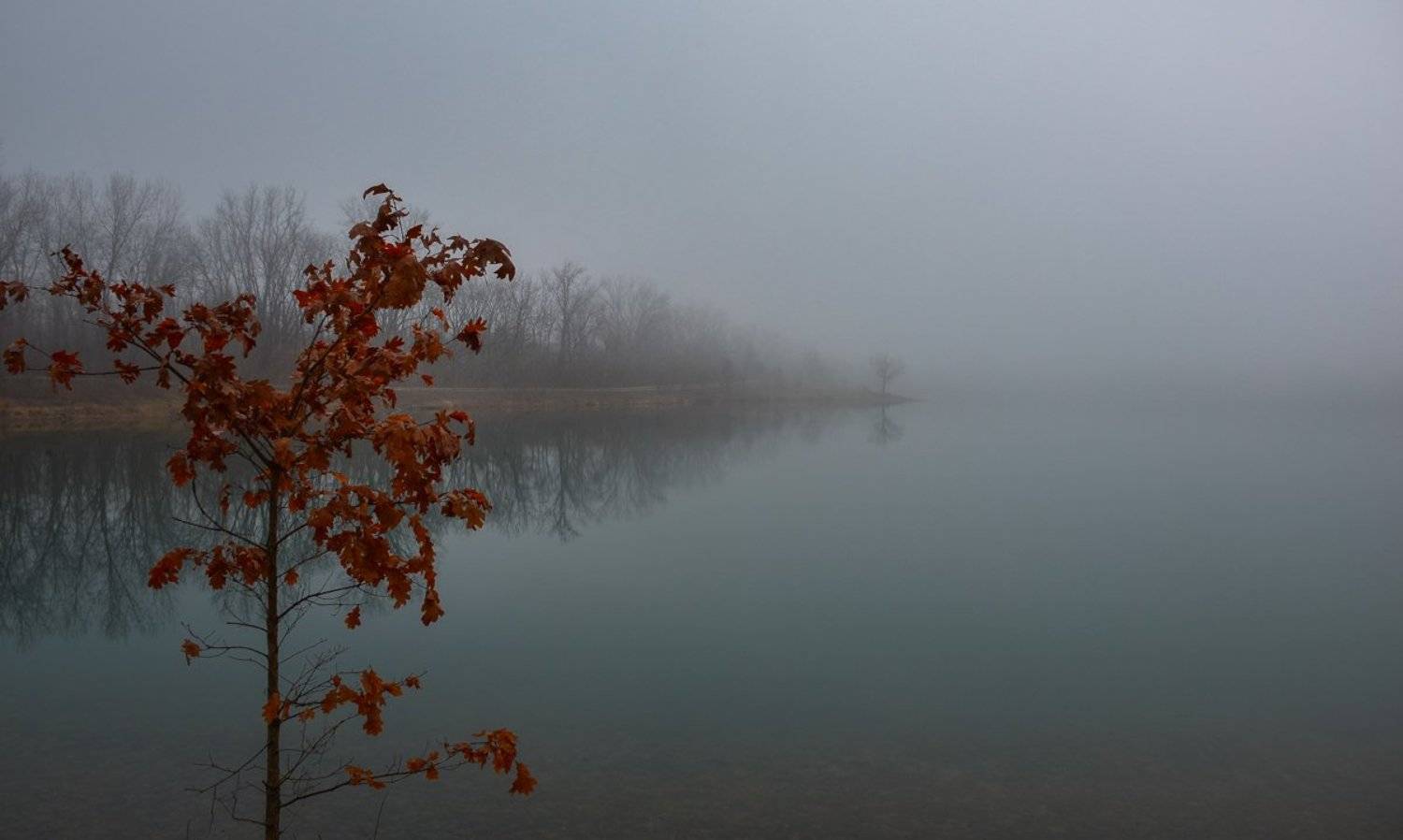 , Андрей Степанов