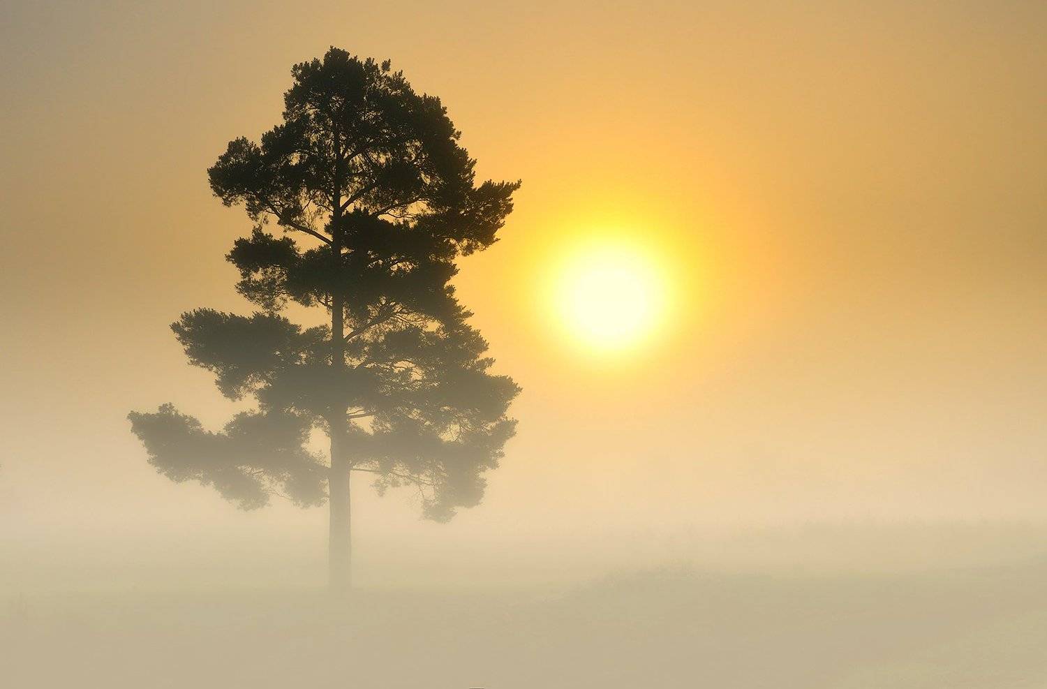 #пейзажы #рассвет #лето #путешествия #фотографкиев #morning #sea, Kantsyrenko Sergey