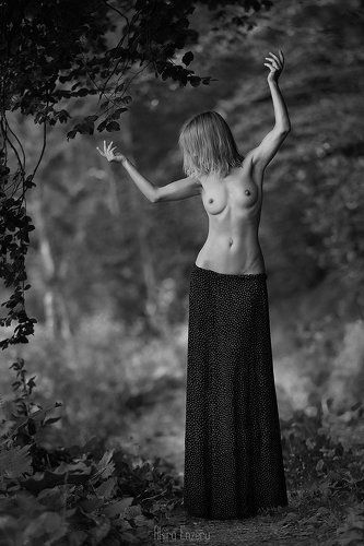 The Forest Spirit