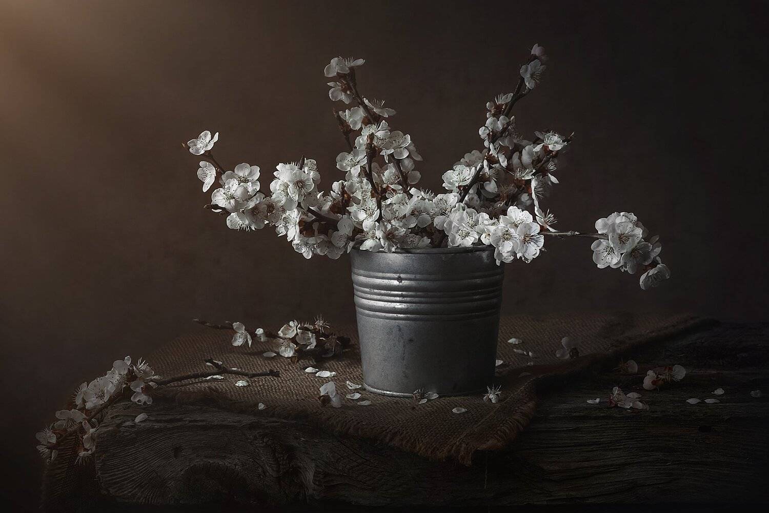 , Инна Сухова