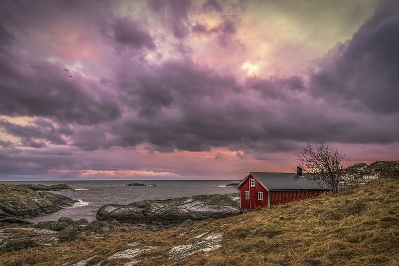 lofoten,norway,red house,sea,zeiss milvus 21mm, come back to home фото превью