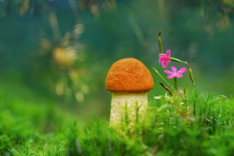 Романтики фото превью