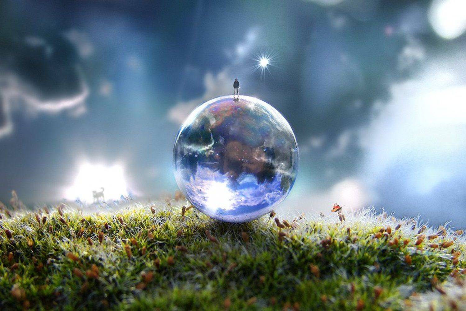 wake,art,mood,illness,light,hope,stars,heaven,sony,, Emerald Wake &copy;