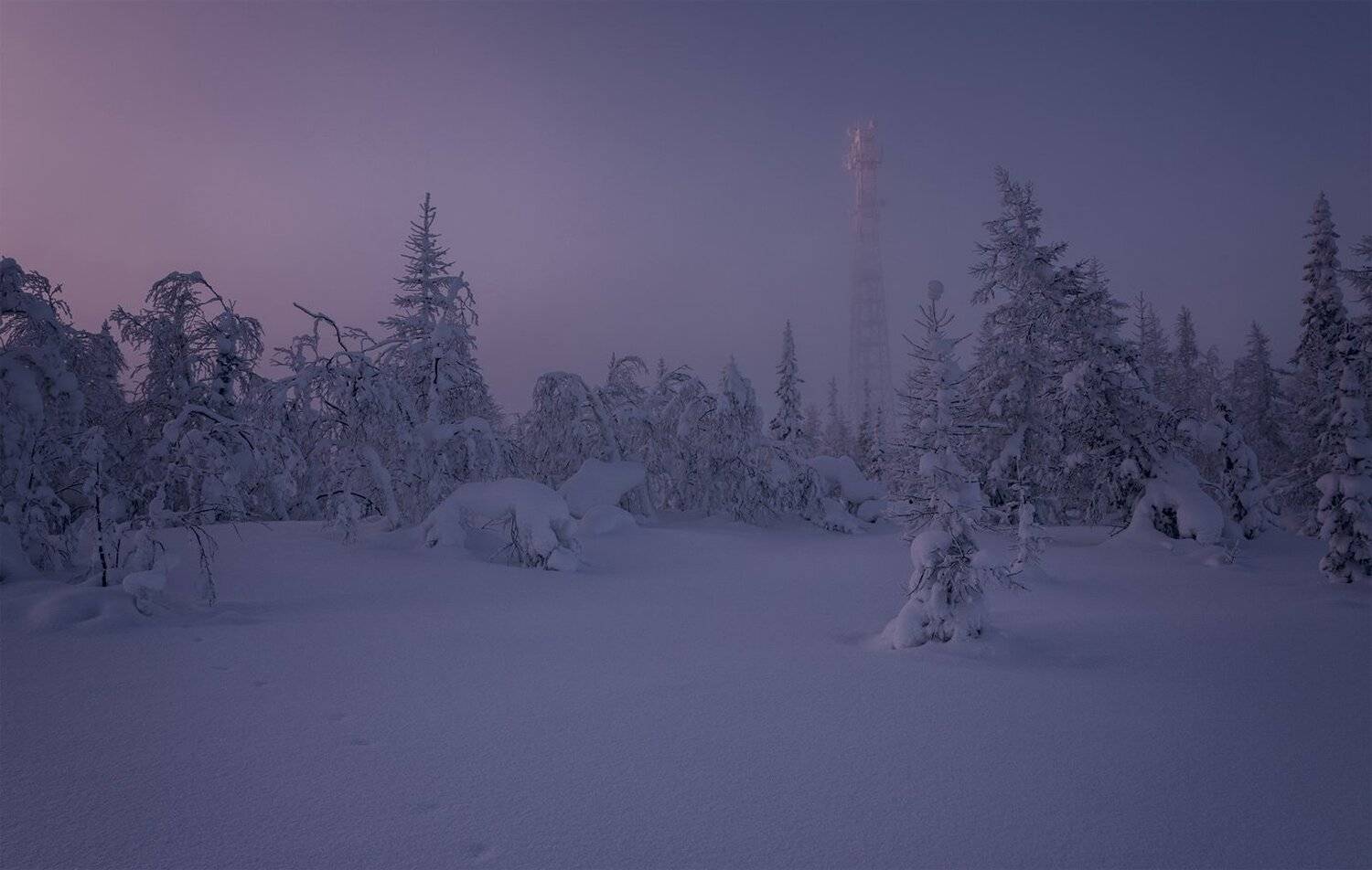 , Евгений Кужилев