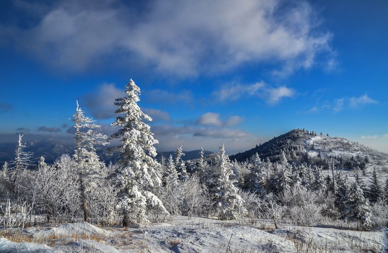 Приморье, Приморский край, зима, снег, горы Холодная сказка фото превью