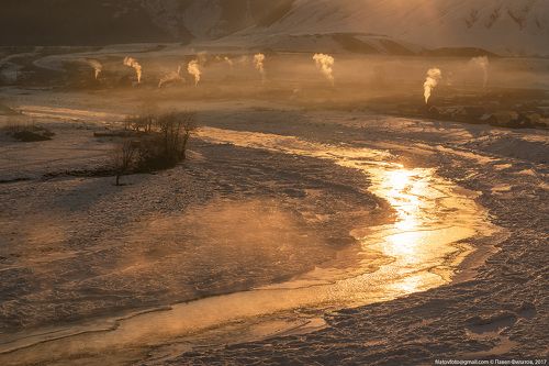 Золотая река