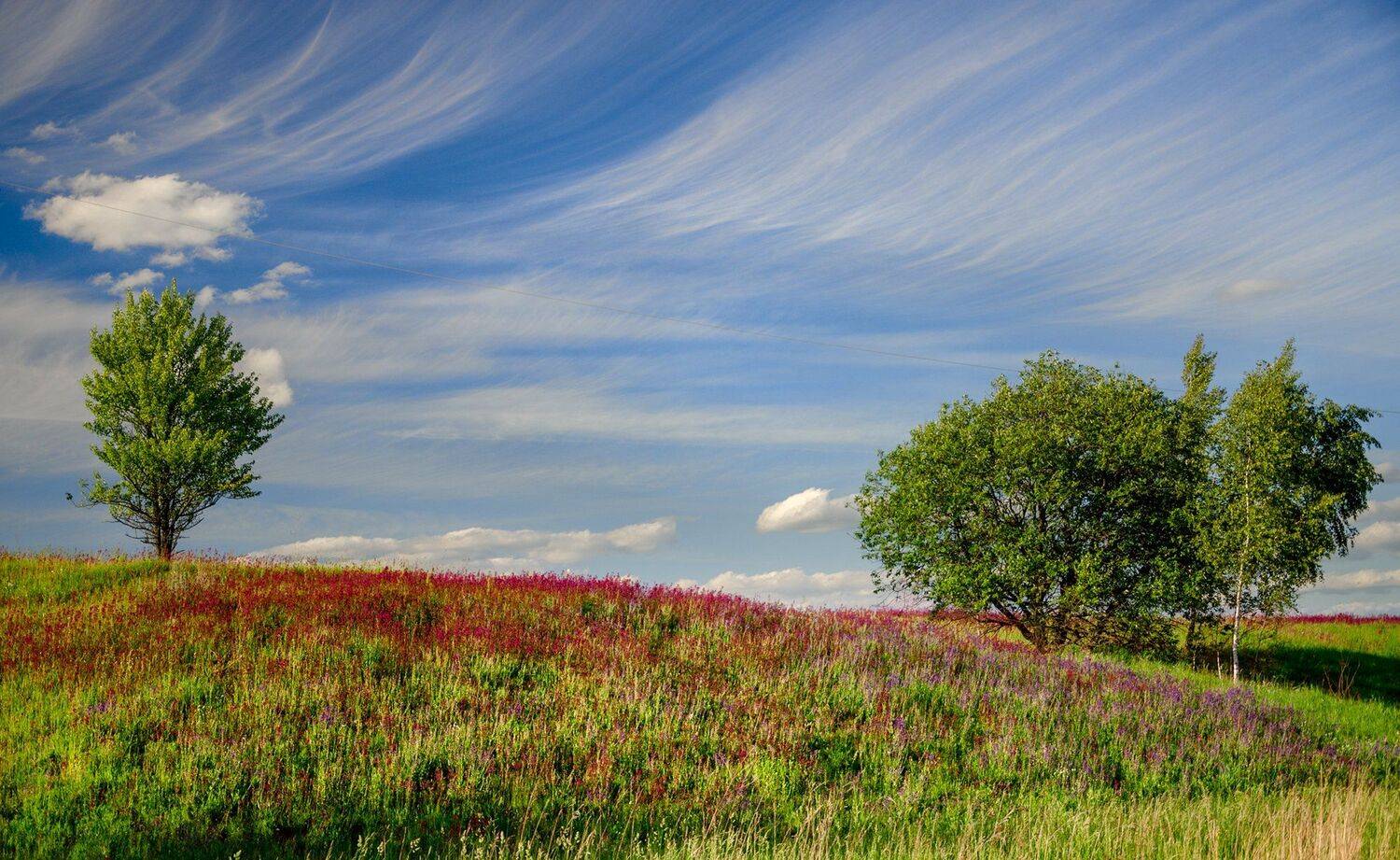 nevant60 березуцкий _александр природа красота пейзаж брянск, Александр Березуцкий