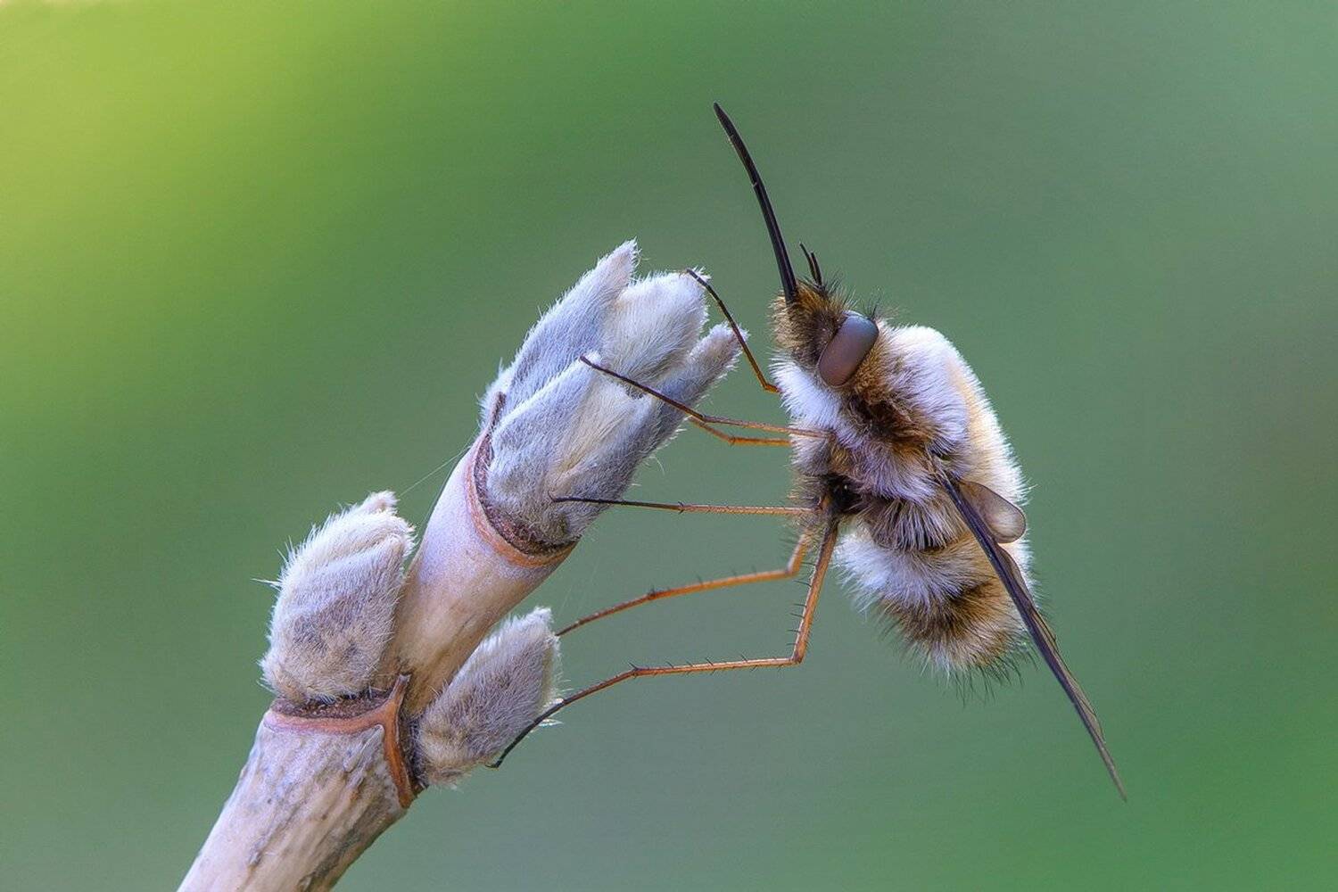 , Кузнецов Дмитрий