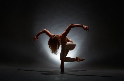 Птица