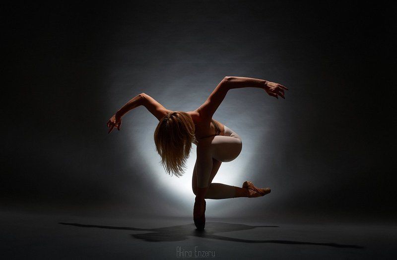 ballerina, ballet, dance, dancing, portrait, studio, Птица фото превью