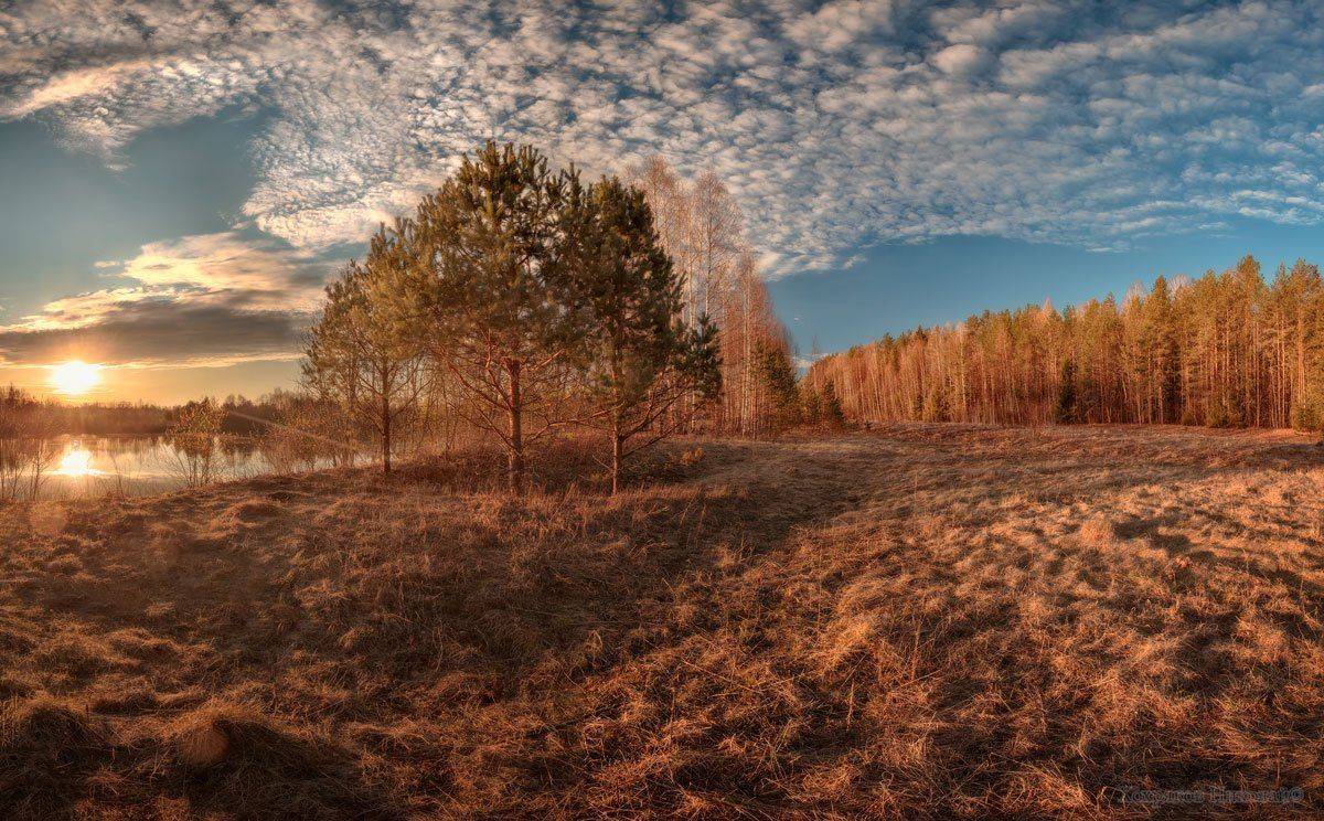 , Хохряков Николай